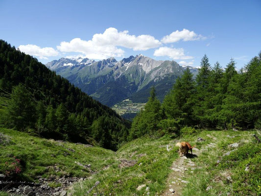 Auf dem Weg zur Zunigalm