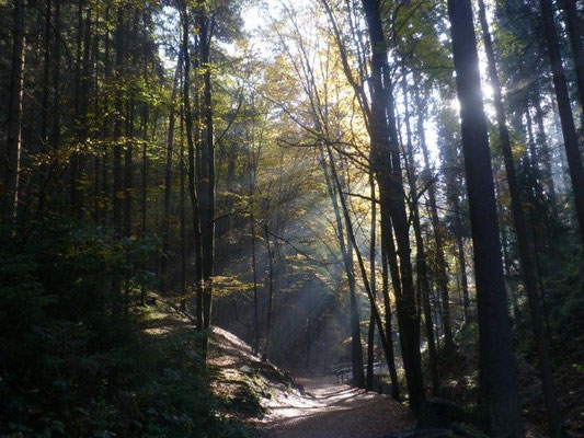 Herbst im Amselgrund