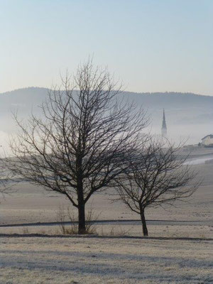 Morgennebel über Ulrichsberg im Böhmerwald