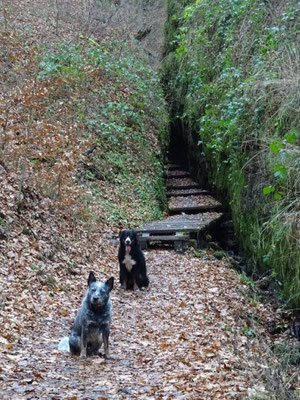 In der Drachenschlucht