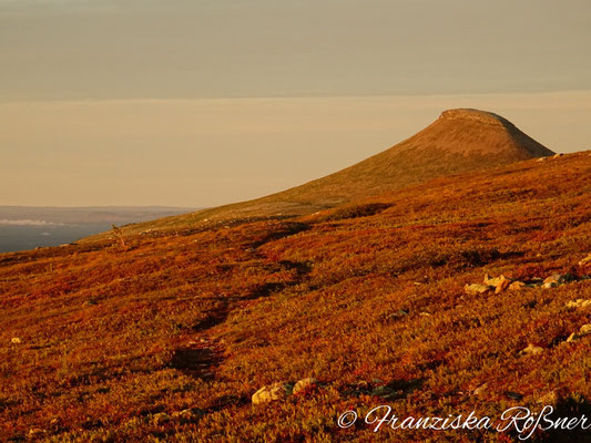 Sonnenaufgang am Nippfjället