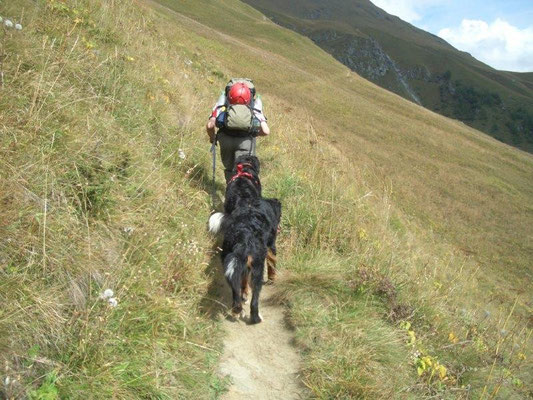 Aufstieg über den Blumenweg zur Sajathütte