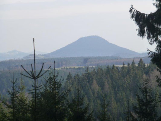 Durch eine Lücke im Wald kann man sogar den tschechischen Rosenberg sehen.