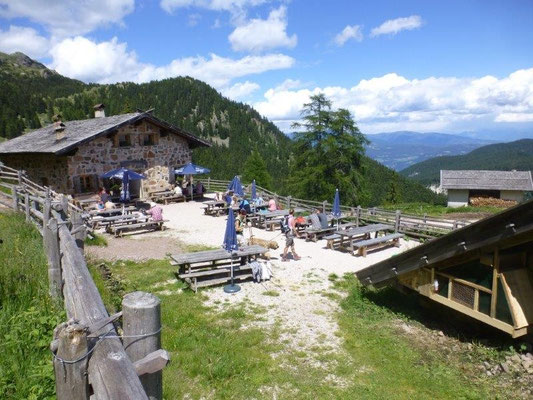 Die Laugenalm
