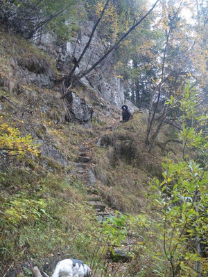 Aufstieg von Weißenbach zum Kellerbauerweg