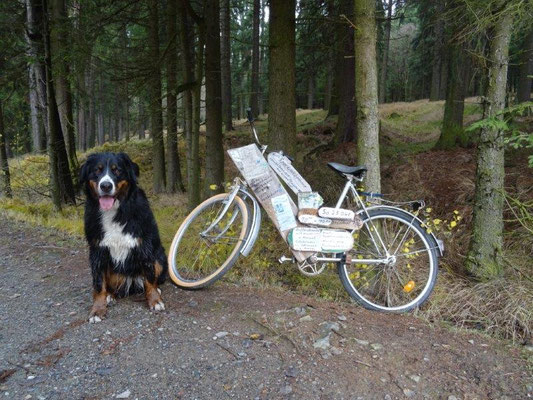 Was es wohl mit diesem Fahrrad auf sich hat?
