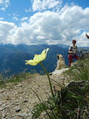 Abstieg von der Hönigspitze