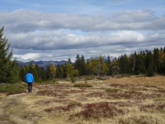 Rodenecker Alm