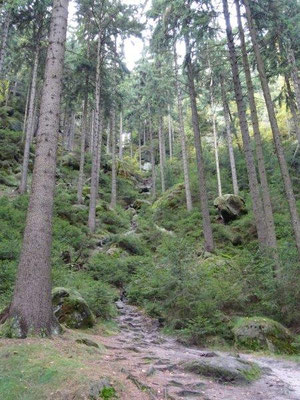 Da geht unser Weg hoch