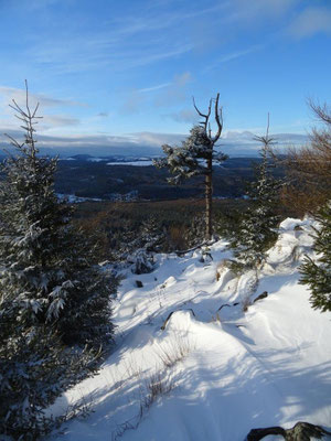 Blick vom Haßberg