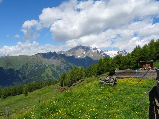 Blick hinüber zum Kals-Matreier Törl