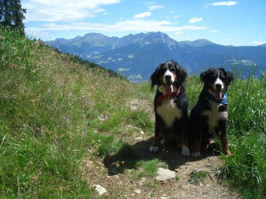 ... über das Passeier-, Etsch- und Ultental