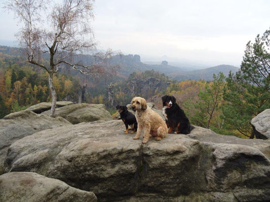 Kira, Nepomuk und Vreni waren die ersten auf dem Fotofelsen :-)