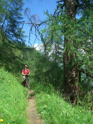 Aufstieg durch die Zopatnitzenschlucht zur Bergerseehütte