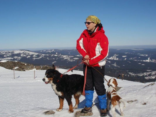 Auf dem Großen Arber, dem höchsten Berg des Bayerischen Waldes