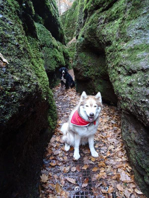 In der Drachenschlucht