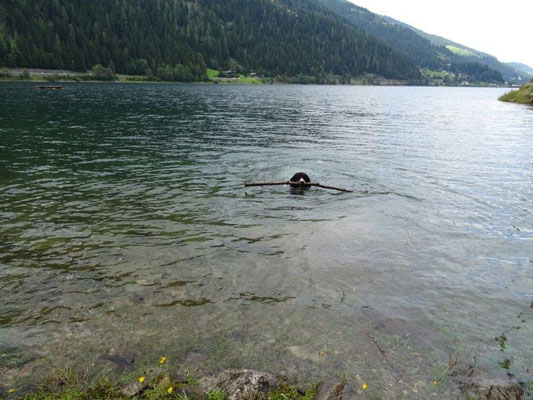 Badefreuden im Zoggler Stausee