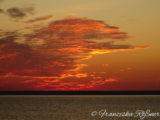 Sonnenaufgang am Kattegat bei Båstad