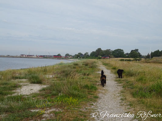 Strandspaziergang