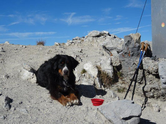 Gipfelglück auf dem Piz Lat