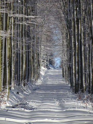 Die Geometrie des Winters