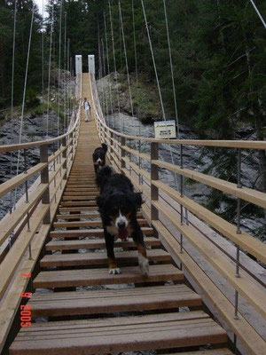 Der Traversinersteg...
