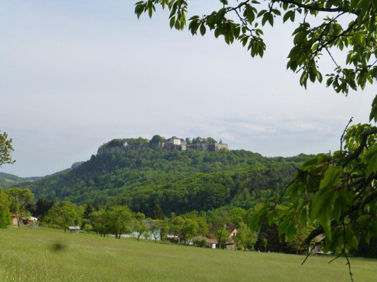 Blick von Thürmsdorf zur Festung Königstein