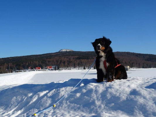 Vreni an der Preßnitz-Talsperre - im Hintergrund der Hassberg