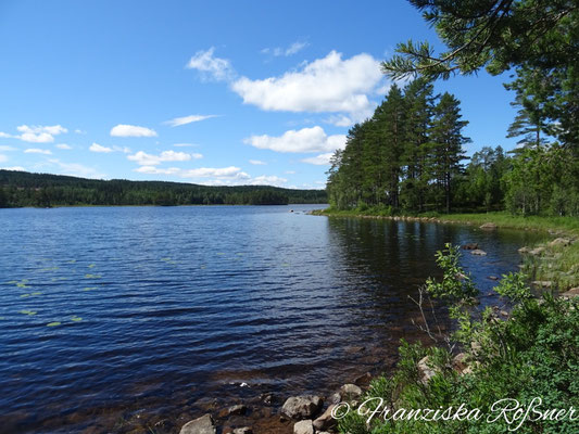 Rast am Nätsjön