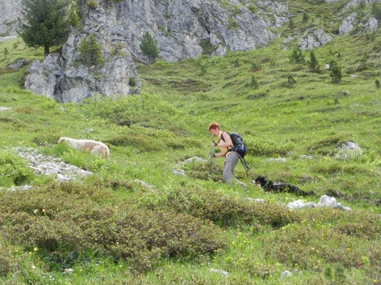 Aufstieg zum Kreuzjoch