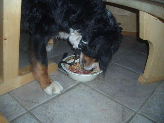 Senta's Geburtstagsessen - ein Kaiserschmarrn auf der Sajathütte, die unser Domizil für eine Nacht war.