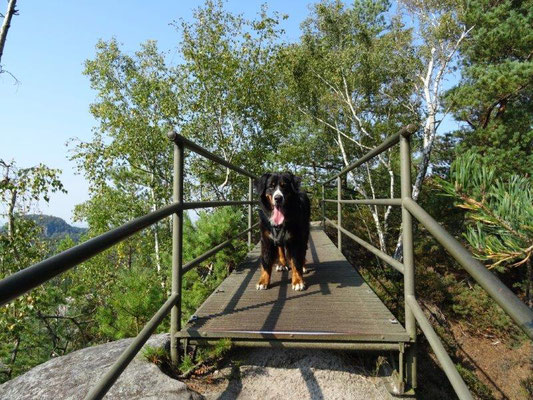 Auf dem Rauensteingratweg