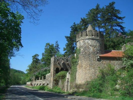 Die Rosenburg bei Ballenstedt