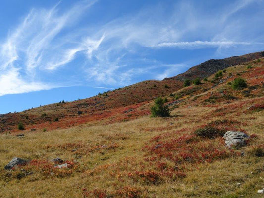 Herbstliche Bergwiesen