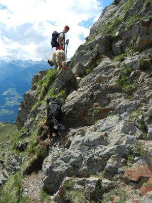 Abstieg von der Hönigspitze