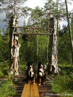 Am Eingang zum ältesten Teil des Hamra-Nationalparks