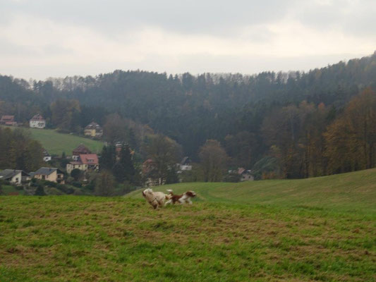 Naturlich gabs auch reichlich Gelegenheit zum Toben