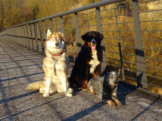 Auf der neuen Brücke