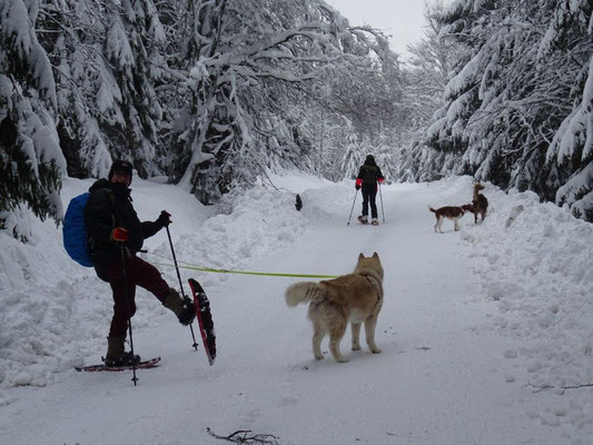 Die erste Schneeschuhwanderung der Kraxelpfoten
