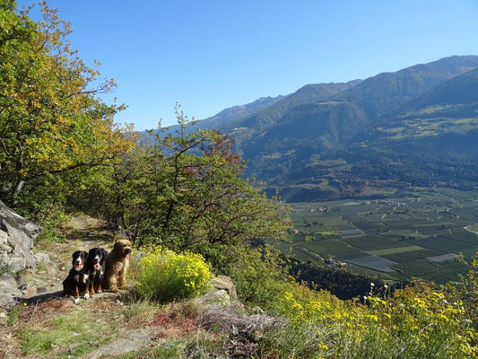 Wandern im Vinschger Sonnenberg