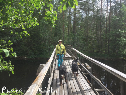 Wanderung zur Sävjöhöjden