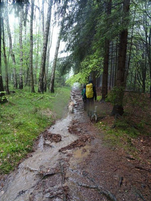 Der Weg wurde zum Bach