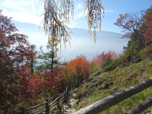 Herbst an der Leadner Alm