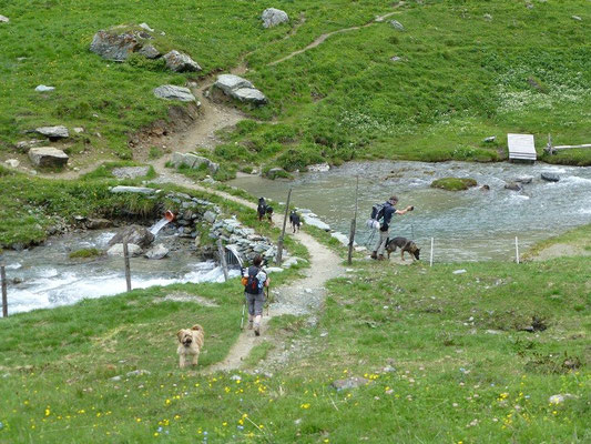 Brücke über den Timmelbach