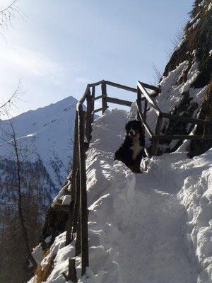 Aufstieg zur Stabanthütte