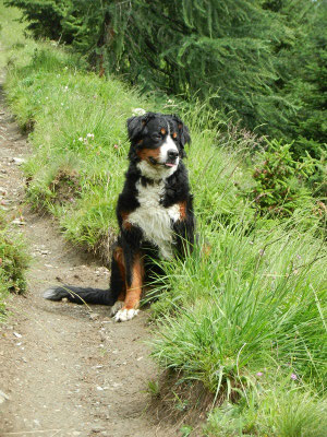 Mit Gusti auf dem Weg zur Nilljochhütte