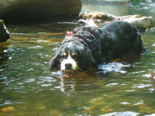 Ein Wasserungeheuer :-)