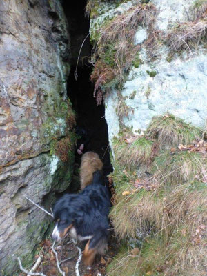 Die Höhle am Sattelberg