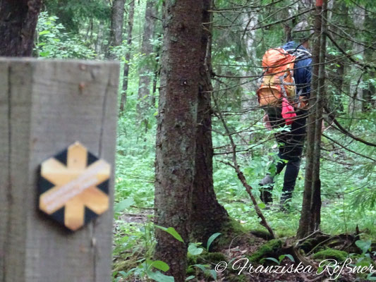 Wandern durch den Nationalpark Färnebofjärden