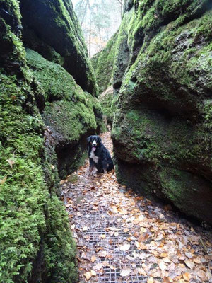 In der Drachenschlucht